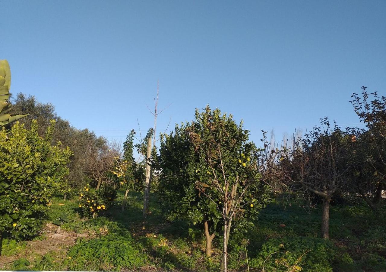 Greenside Of Sea Corujeira Exterior foto